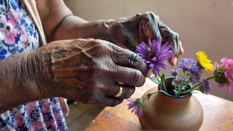 Activity Director Moment Arranging Flowers
